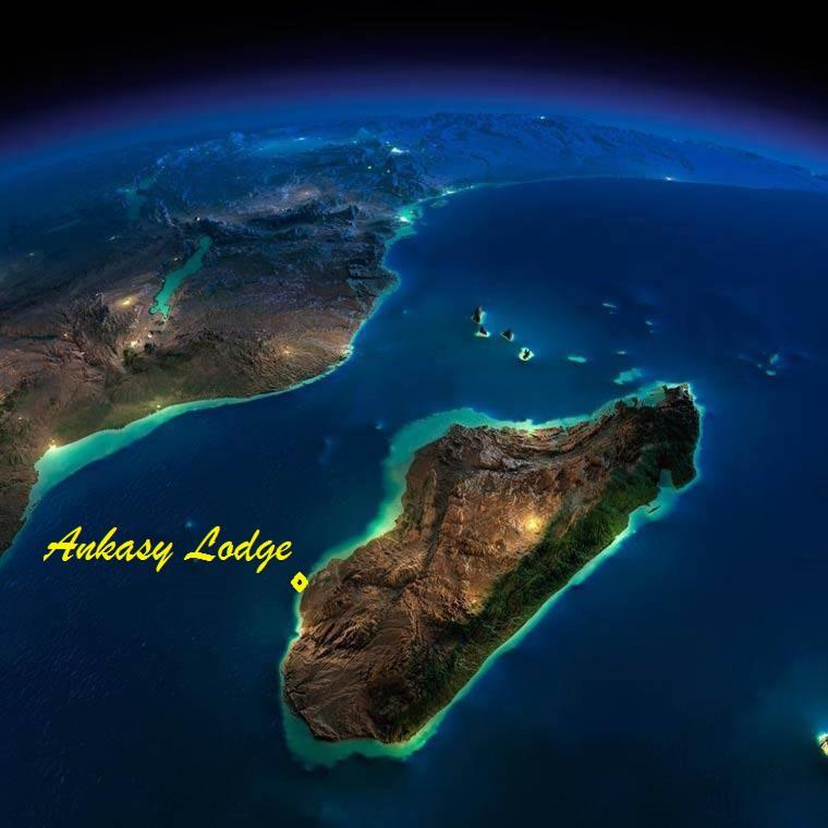Ankasy Lodge Tsifota Bagian luar foto